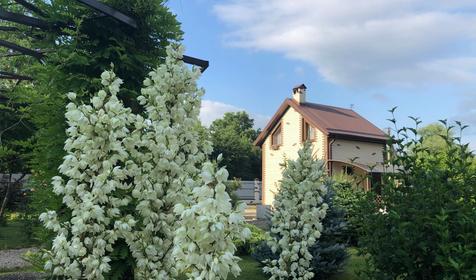 Шестиместный трехкомнатный коттедж