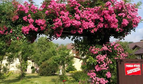 Горное Поместье