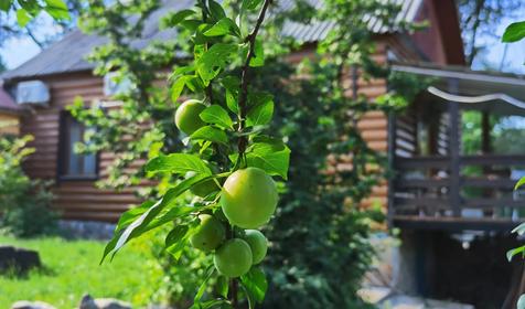 Слияние двух рек