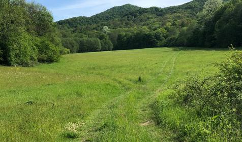 Горное Поместье