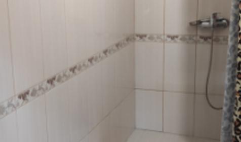 Семейный пятиместный дом с кухней