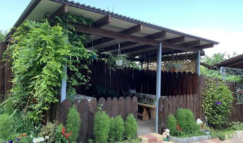 У горного озера