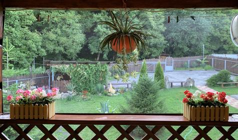 У горного озера