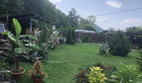 У горного озера