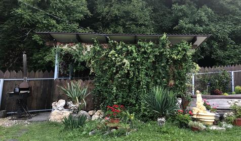 У горного озера