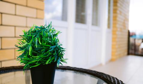 Гостевой дом "Корона". Анапа