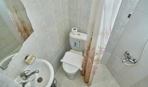 Комфорт "Плюс". Гостевой дом ЭвРошель, Сочи, Адлерский район