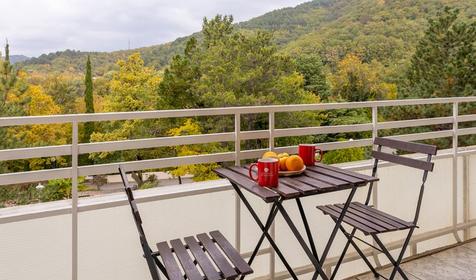 Семейный двухместный двухкомнатный. Оздоровительный комплекс AZIMUT Отель Прометей Небуг