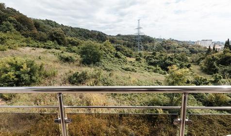 Комфорт. GG Hotel (Джи Джи Отель). Сочи, Адлер