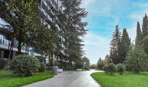 Отель "Моне". Сочи, Адлер