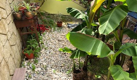 Морская Жемчужина