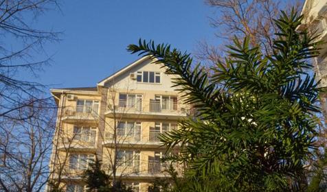 Гостиница Ola Resort (Ола Резорт). Туапсе, Ольгинка