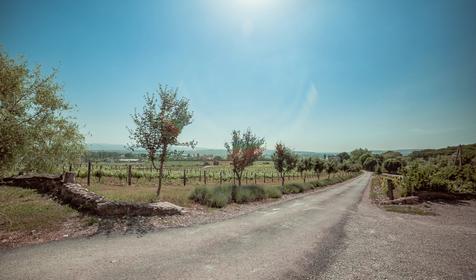  Усадьба Семигорье, г. Новороссийск