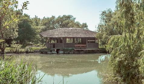  Усадьба Семигорье, г. Новороссийск