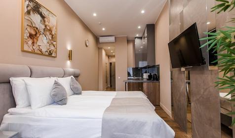 Студия Делюкс двухместная. South Mirror Residence (Саус Миррор Резидентс). Сочи