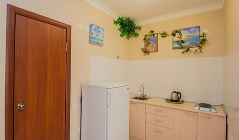 Двухкомнатные апартаменты с мини-кухней