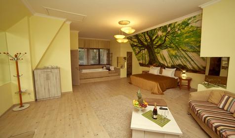 Люкс "Гармония". Гостиничный комплекс Вилла Анна, г. Сочи