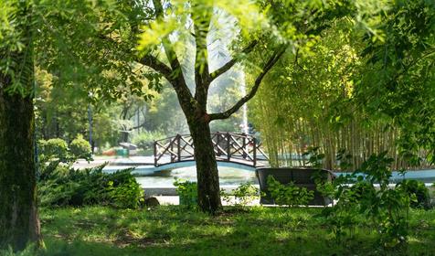 Odysseya Wellness Resort, Сочи, Лазаревское