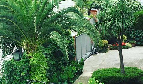 Гостевой дом Аурия. Сочи, Лоо