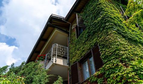 Коттедж пятиместный (апартаменты)