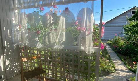 Трехместный с удобствами и кухней (улучшенный)