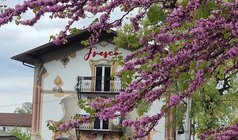 Бутик-отель Fresco. Геленджик