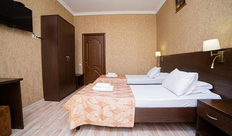 Полулюкс двухместный