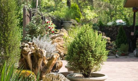 Отель Lotus (Лотос). Геленджик, Архипо-Осиповка