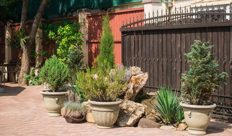 Отель Lotus (Лотос). Геленджик, Архипо-Осиповка