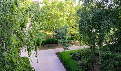 Южный берег