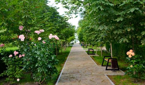 Южный берег