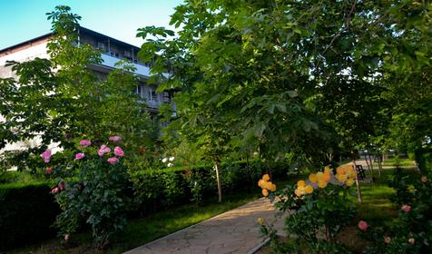 Южный берег