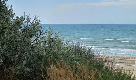 Минеральные воды