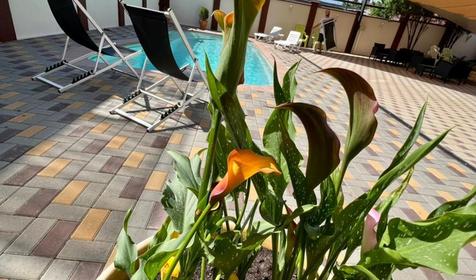 Гостевой дом Парус Голубая бухта. Геленджик