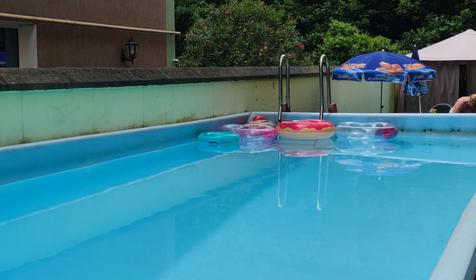 Южная рапсодия