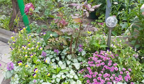 Гостевой дом Свобода. Ейск