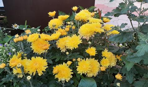 Гостевой дом Свобода. Ейск