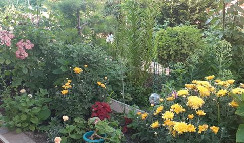 Гостевой дом Свобода. Ейск