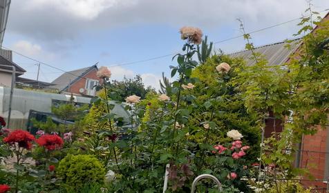 Гостевой дом Свобода. Ейск