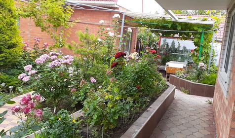 Гостевой дом Свобода. Ейск