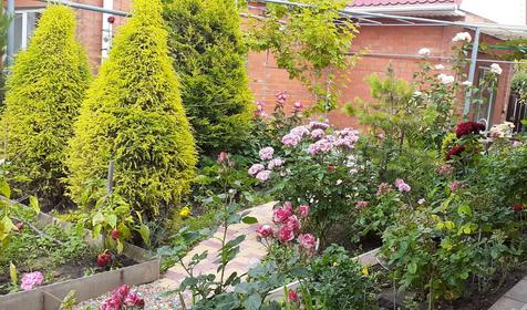 Гостевой дом Свобода. Ейск