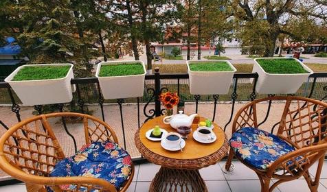 Полулюкс четырехместный с террасой