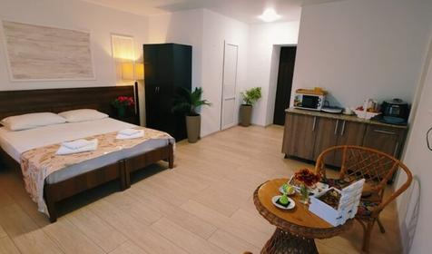 Студия двухместная с мини-кухней