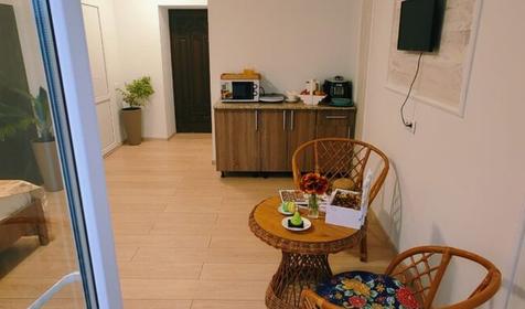 Студия двухместная с мини-кухней