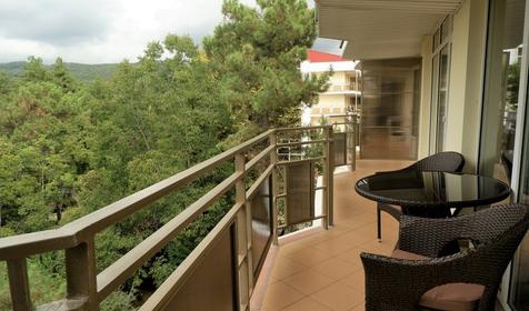 Люкс двухкомнатный двухместный (VIP корпус 1)