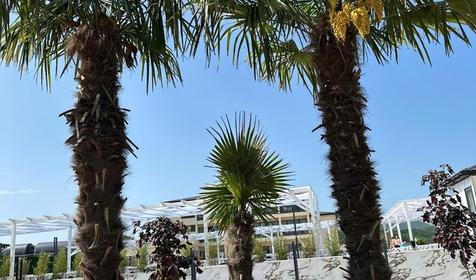 Эко-отель "Усадьба Сукко". Анапа