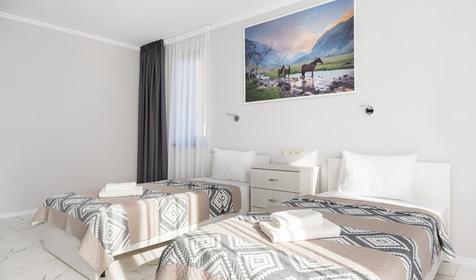 Стандарт 2-местный с видом на горы