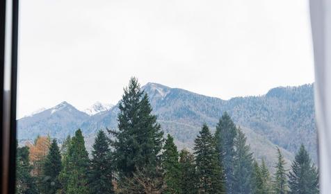 Стандарт 2-местный с видом на горы