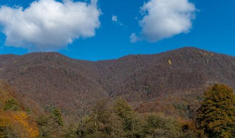 Стандарт 4-местный