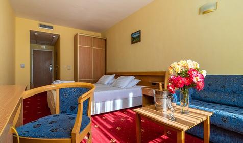 Двухместный номер 1 категории, корпус 2, курортный комплекс "Ямал", Туапсинский район, Небуг